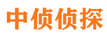 太白市私家侦探